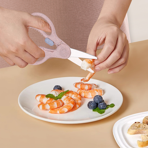 Food Scissors And Knife