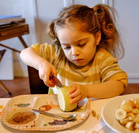 //irrorwxhoojljk5p.ldycdn.com/cloud/lkbplkikjnsrklrqlmlojq/toddler-food-knife.jpg