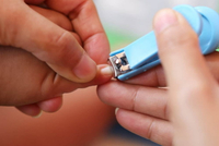 //irrorwxhoojljk5p.ldycdn.com/cloud/llBplKikjnSRjlnpmrqkjq/Top-10-Baby-Nail-Clipper-Manufacturers-in-China.jpg