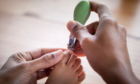 //irrorwxhoojljk5p.ldycdn.com/cloud/lpBplKikjnSRjlnppklpjq/Top-Baby-Nail-Care-Manufacturers-and-Suppliers-in-Singapore.jpg