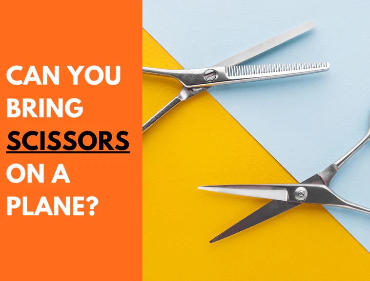 Does Tsa Allow Nail Scissors?